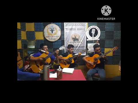 "El Correcto" Gato Cuyano. Autor: Alfonzo y Zabala