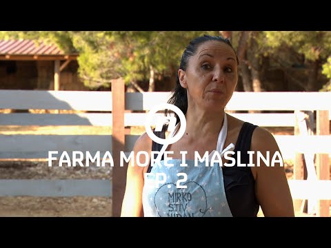 Zdenka objašnjava kako se muze krava - Epizoda 2 | Farma More i Maslina