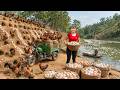 TIMELAPSE -- 365 Days Harvesting A Lot Of Chicken Eggs, Duckling, Duck Eggs and Chicken Go To Sell DEFAULT Thumbnail