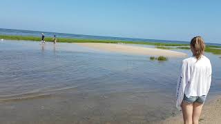 Wing's Island 1(2)