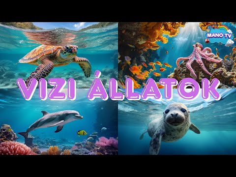 Fedezd fel a vízi állatok csodálatos világát! Fejlesztő videó gyerekeknek #animals #animal #dolphin