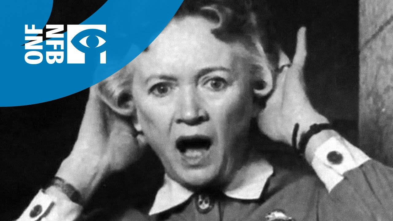 La fièvre du castor