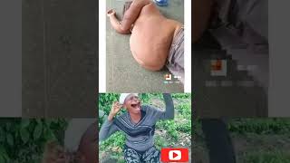 Download lagu Asupan meme viral #shorts #memengakak #memelucu mp3 Download lagu Asupan meme viral #shorts #memengakak #memelucu mp3