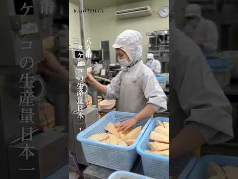 八女市黒木から全国の食卓へ！【スタッフ募集中】
