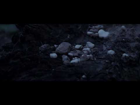 The Virus and Antidote - ProtectHer. (ft Kamiyada x DRG)