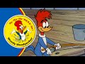 Woody Is The Best Fisherman 2 5 Hours Of Classic Episodes Of Woody Woodpecker