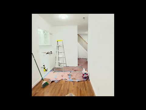 video 1