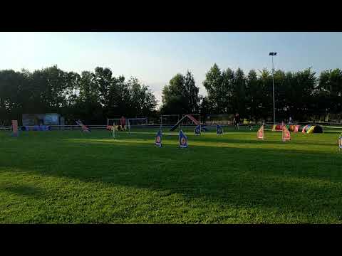 2021.08.21 Agility A1 exam (first point to A2) - Summer Agility Cup