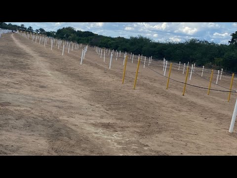 I GP JUAREZ & ELAINE DE SOUZA - CLASSIFICATÓRIAS