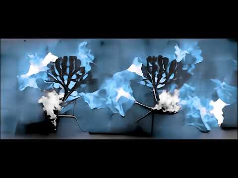 Video thumbnail for A Tree on Fire from Within