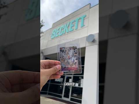 Calificación de tarjetas de One Piece #tradingcards #gear5luffy #onepiece #onepiecetcg