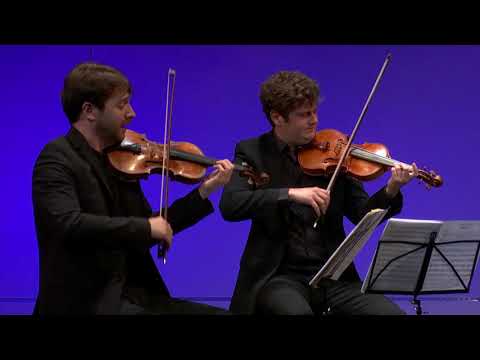 Schubertplus Round: Ruisi Quartet