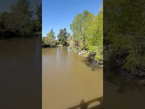 CANAL SANTIAGO  en BERISSO - PUENTE PALO BLANCO- PROVINCIA DE BUENOS AIRES - ARGENTINA 🇦🇷 🇦🇷🇦🇷