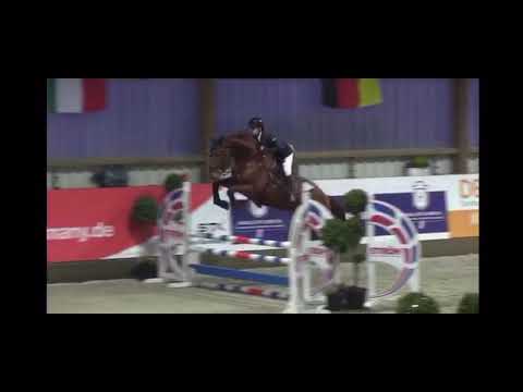 4j. Holsteiner Stute von Uriko KWPN