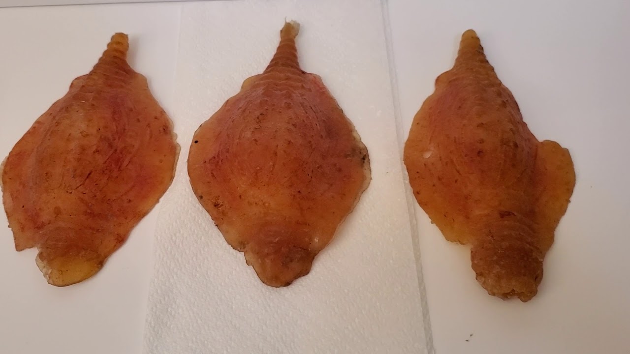 Star Trek III The Search For Spock Screen Used Microbe Props!