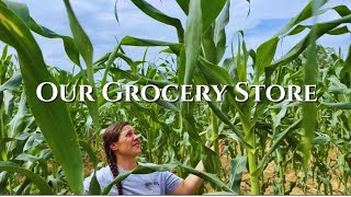 We Like to Grow Things || Where Our Food Comes From || July 2025