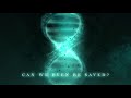 Disturbed - In Another Time (Lyric Video)