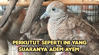 Download lagu IT'S JUST LIKE THIS THAT MAKES ADEM AYEM HAPPY mp3 Download lagu IT'S JUST LIKE THIS THAT MAKES ADEM AYEM HAPPY mp3