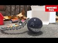 Adopting A Little Chain Chomp Mario Nintendo