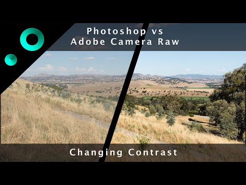 Changing Contrast with Adobe: Raster vs Raw -  LI | Process