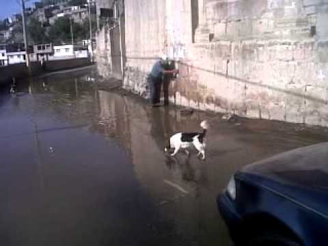 SACHACA - MARCARANI 1