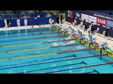 World Cup Berlin ‘21 - 100 vlinder (serie) - Sean