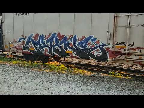 Vayne Graffiti - Lake City, Fl.