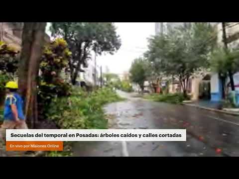 Secuelas del temporal en Posadas