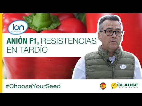 Video: ANION F1