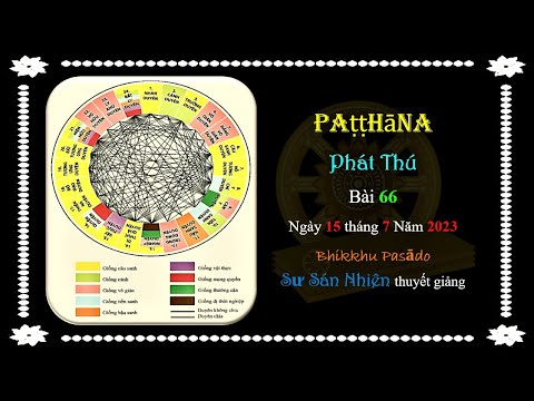 Patṭṭhāna - Phát Thú - Bài 66 - 15/07/2023 do Sư Sán Nhiên (Bhikkhu Pasādo) thuyết giảng.