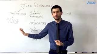 5 лайфхаков по обществознанию, которые помогут тебе сдать ЕГЭ
