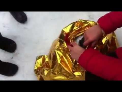 YouTube Трейлер