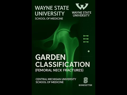Explaining the Garden Classification for Femoral Neck Fractures