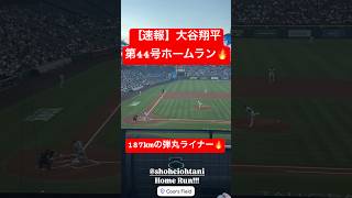 【速報】大谷翔平 第44号ホームラン🔥187kmの弾丸ライナー🔥 #大谷翔平 #大谷 #ドジャース #ホームラン #今日の大谷さん #現地映像 #ohtani #第44号 #44号 #ロッキーズ