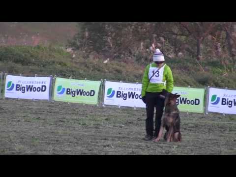 2012D-1 MIRAN VON KYOTO MASUDA B88