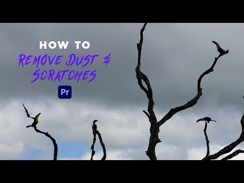 How to Remove Dust & Scratches | Adobe Premiere Pro