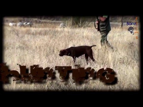 HUNTING and FISHING, our LIFE | Trailer Bonviedro Outdoors | HD