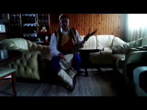 Guslar Milan Bojovic-San Vuka Mandusica