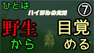ゼルダの伝説 ブレス オブ ザ ワイルドなのでワイルド（上裸）に実況プレイ⑦
