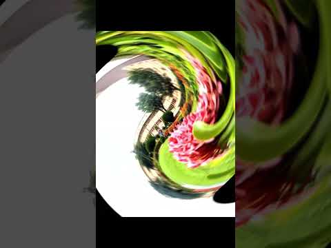 NITRR Beautiful Campus 🤩🤩