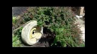 Pulling a Bush Using Spare Tire