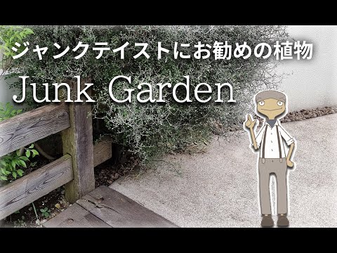 木々のある広い庭園: ヒントとコツ、計画のアドバイスとアイデア  庭園