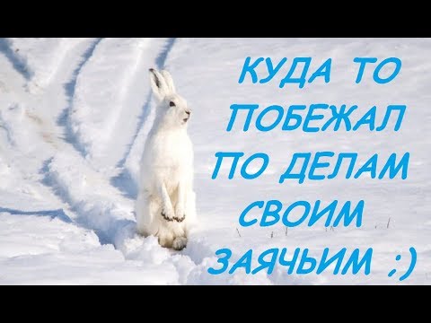 VLOG: ГДЕ МОИ ШЕШНАДЦАТЬ ЛЕТ! 19.03.20