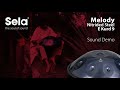 Sela 309 Melody Handpan E Kurd thumbnail 10