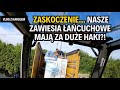 Wynajem podnośników koszowych i dźwigów - 1