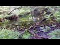 Briggs Park Ashaway RI Update
