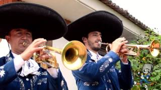 Video de Mariachi Perlas de América