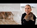 How To Get Your Rabbit To Trust You