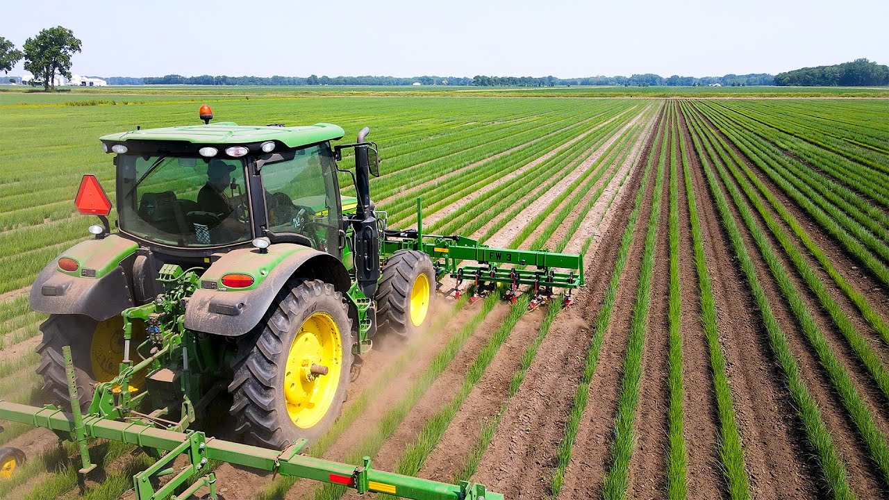 Tackling Large-Scale Farms with Finger Weeders
