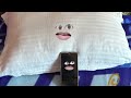 Malik Gay Fres Hone Vairal Short Video Trending Video Rahul Singh Thethar Puns
